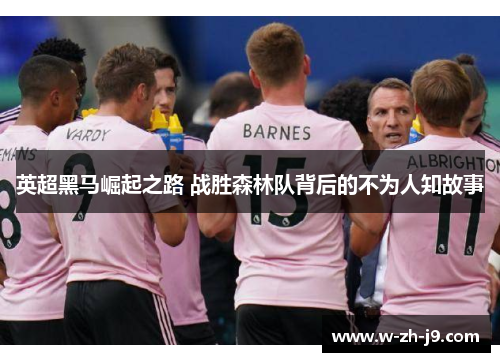 英超黑马崛起之路 战胜森林队背后的不为人知故事