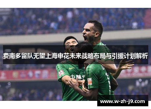 费南多留队无望上海申花未来战略布局与引援计划解析